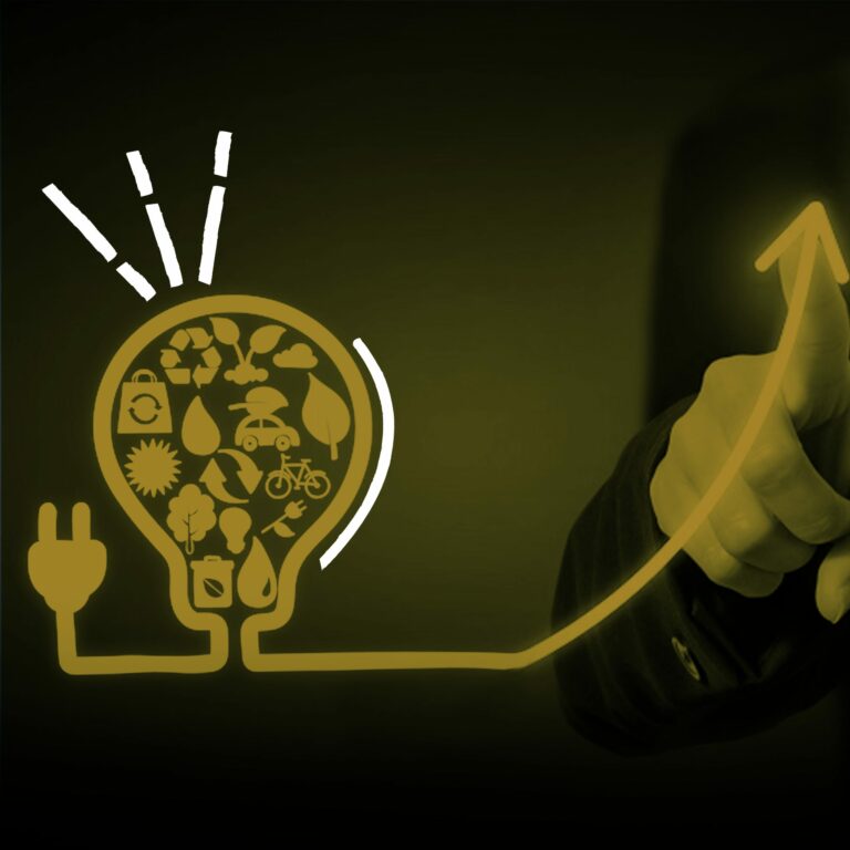 Do Open Banking às Open Utilities: os dados no setor elétrico