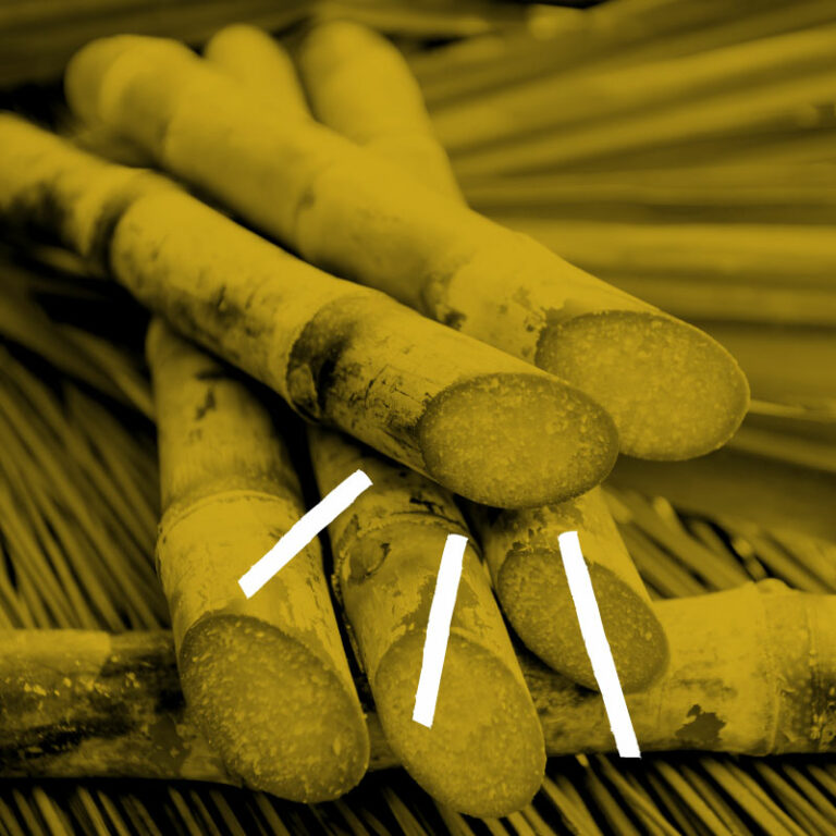 Como obter eficiência operacional na geração da energia de biomassa?